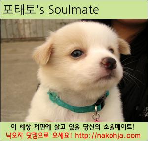포태토&rsquo;s Soulmate